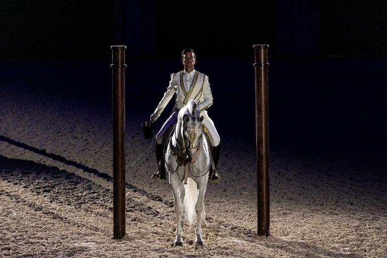 Abu Dhabi Royal Equestrian Arts