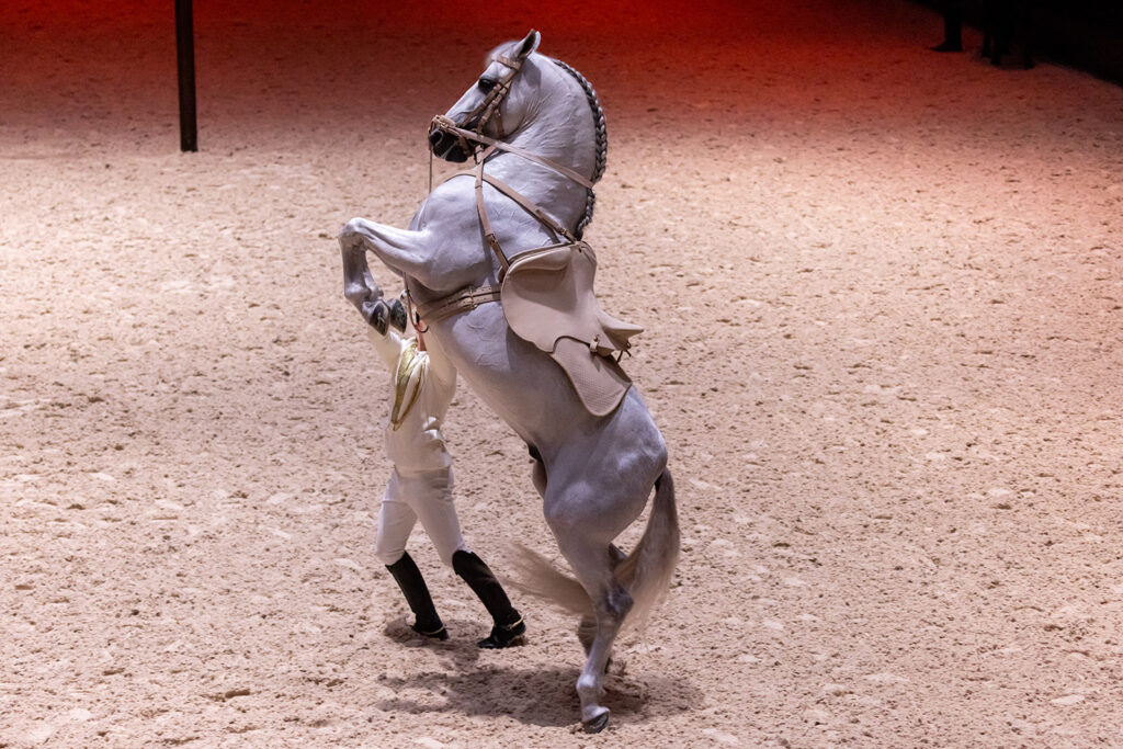 Abu Dhabi Royal Equestrian Arts